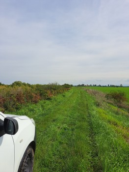 20220924_121652.jpg