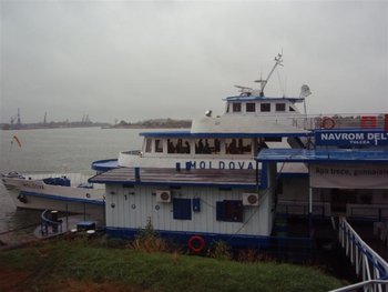 PA090326 (Medium).JPG