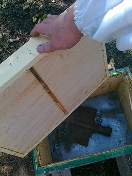 12102011213.jpg