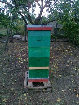 12102011216.jpg