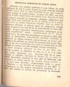 p1.jpg