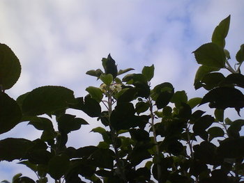 DSC03708.JPG