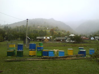 DSC03711.JPG