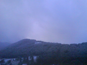 DSC03732.JPG