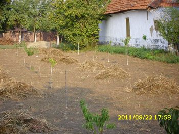 Copy of IMG_0072 (Copia).JPG