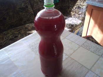 DSC03755 - Copy.JPG