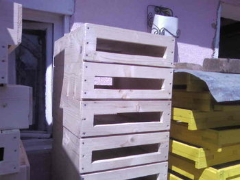 SP_A5567.jpg