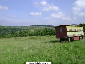 ok_26511.jpg