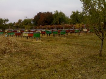 22102011531 (Small).jpg