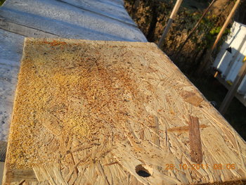 rsz_dscn2139.jpg