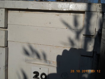 rsz_dscn2142.jpg