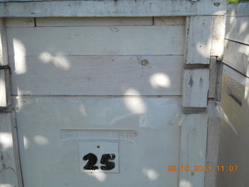 rsz_dscn2145.jpg