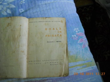 rsz_dscn2172.jpg