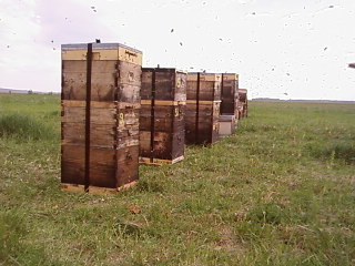SP_A1754.jpg