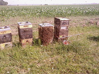 SP_A1862.jpg