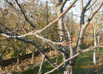 rsz_1dscn2255.jpg