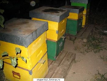 ok_29831.jpg