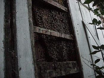 MVC-022X.JPG