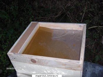 podisor3.jpg