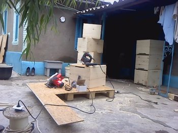 P250611_11.06.jpg