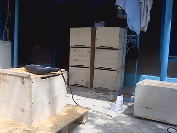 P250611_11.46.jpg