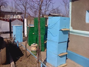 P110311_10.40.jpg