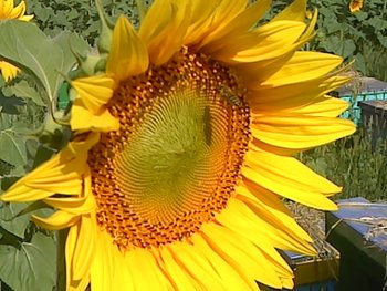 P160711_09.39_[01].jpg