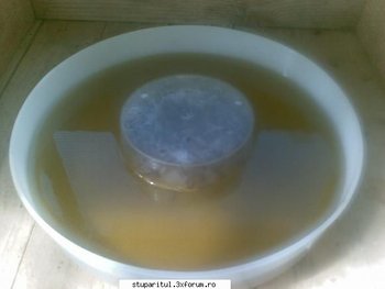 exterior - plastic2.jpg