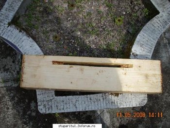 tip muller4.jpg