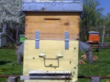 m_163326 (Small).jpg