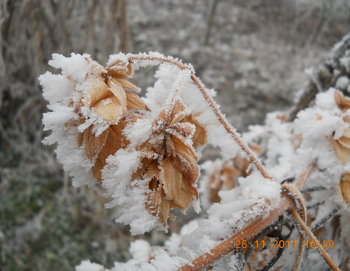 rsz_3dscn2298.jpg