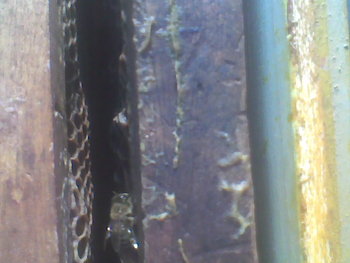 Oct-nov2011046.jpg