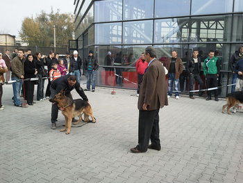 2011-11-05 13_opt.jpg