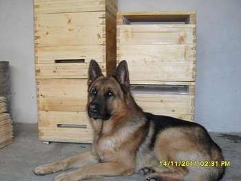 Picture 703_opt.jpg