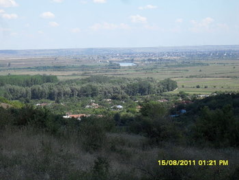 Picture 414_opt.jpg