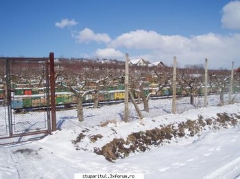 ok_21634.jpg