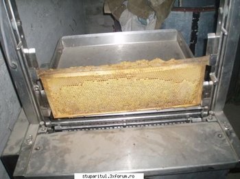 ok_21809.jpg
