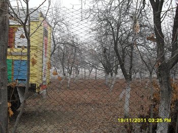 SDC13910 (Medium).JPG