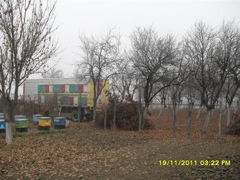 SDC13905 (Medium).JPG