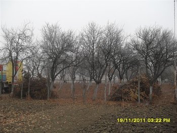 SDC13904 (Medium).JPG