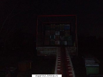ok_25047.jpg