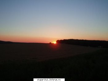 ok_29336.jpg