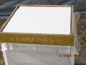 astazi antaiu dechembrii 010.jpg