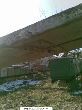 ok_41535.jpg