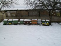 19401321_JHTVGDQPW.jpg