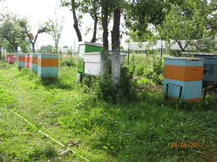 IMG_1948.JPG
