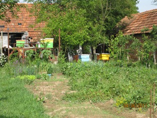 IMG_1989.JPG