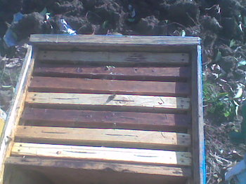 Oct-nov2011003.jpg