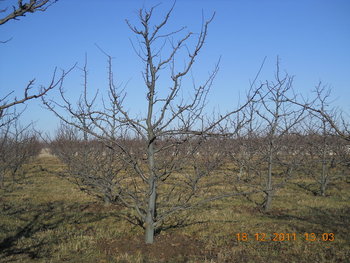 rsz_dscn2345.jpg