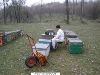 ok_48882.jpg